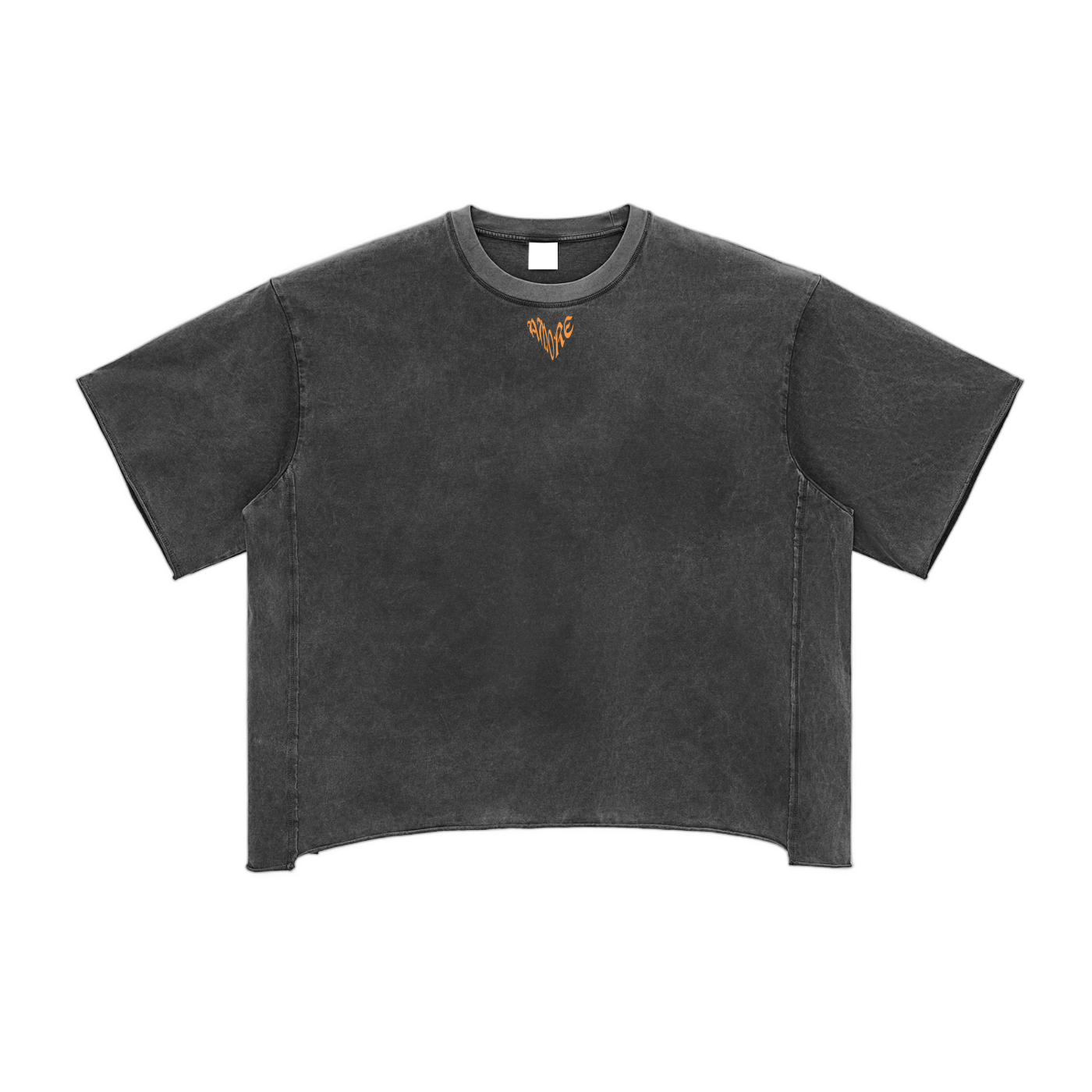Raw Edge Snow Washed Boxy T-Shirt